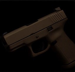 Pistol